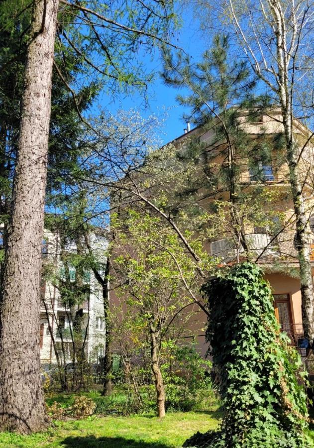 Cichy Apartament W Centrum Nowy Sącz Eksteriør billede