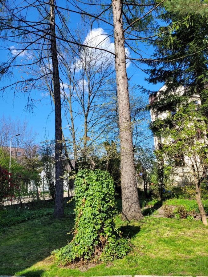 Cichy Apartament W Centrum Nowy Sącz Eksteriør billede